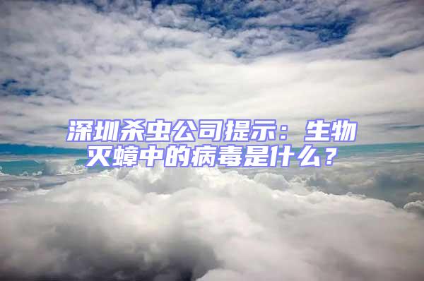 深圳殺蟲公司提示:生物滅蟑中的病毒是什么?