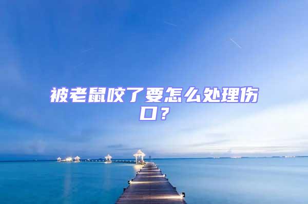 被老鼠咬了要怎么處理傷口?