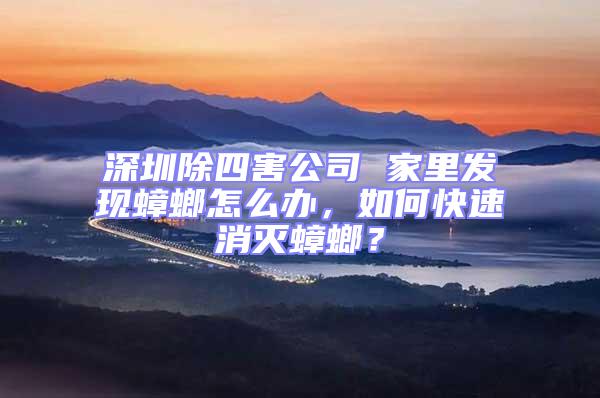 深圳除四害公司 家里發現蟑螂怎么辦,如何快速消滅蟑螂?
