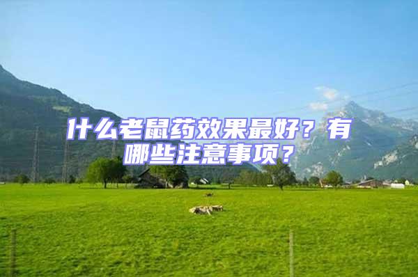 什么老鼠藥效果最好?有哪些注意事項?