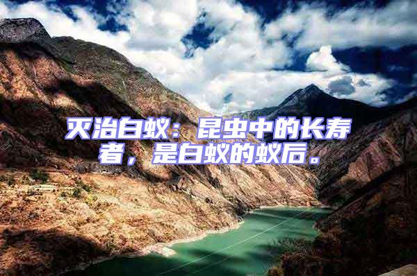 滅治白蟻:昆蟲中的長壽者,是白蟻的蟻后。