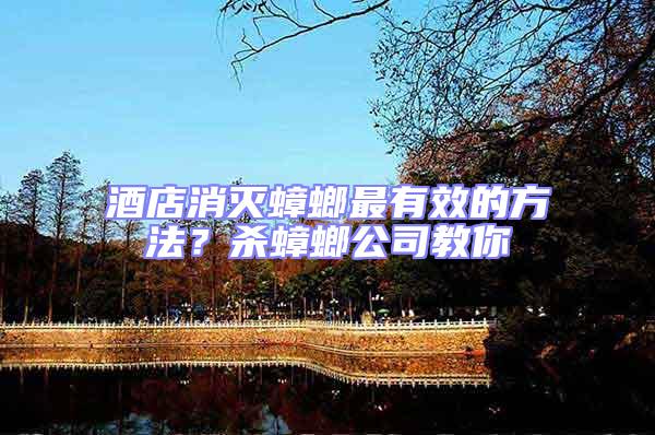 酒店消滅蟑螂最有效的方法?殺蟑螂公司教你