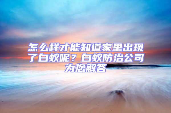 怎么樣才能知道家里出現(xiàn)了白蟻呢?白蟻防治公司為您解答