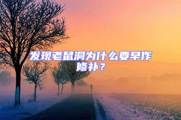 發(fā)現(xiàn)老鼠洞為什么要早作修補(bǔ)？