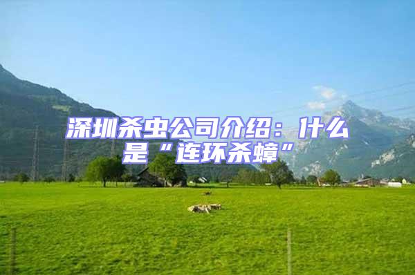 深圳殺蟲公司介紹:什么是“連環殺蟑”