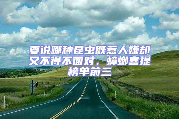 要說哪種昆蟲既惹人嫌卻又不得不面對,蟑螂喜提榜單前三