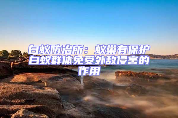 白蟻防治所:蟻巢有保護(hù)白蟻群體免受外敵侵害的作用