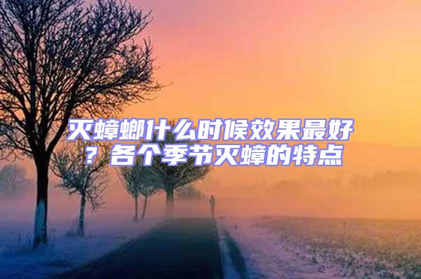 滅蟑螂什么時候效果最好?各個季節滅蟑的特點