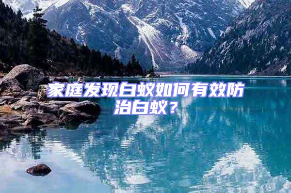 家庭發現白蟻如何有效防治白蟻?