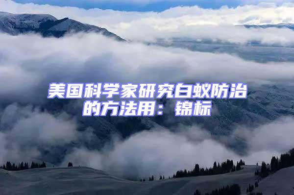 美國科學家研究白蟻防治的方法用:錦標
