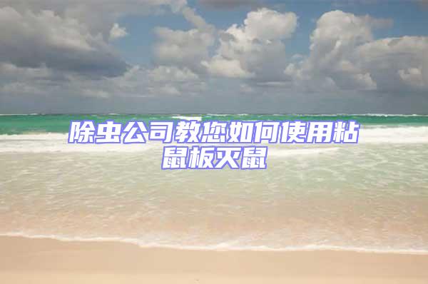 除蟲(chóng)公司教您如何使用粘鼠板滅鼠