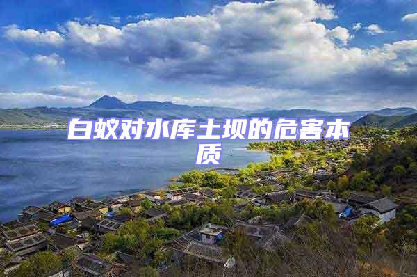 白蟻對水庫土壩的危害本質(zhì)