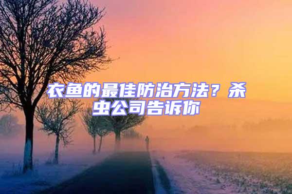 衣魚的最佳防治方法?殺蟲公司告訴你