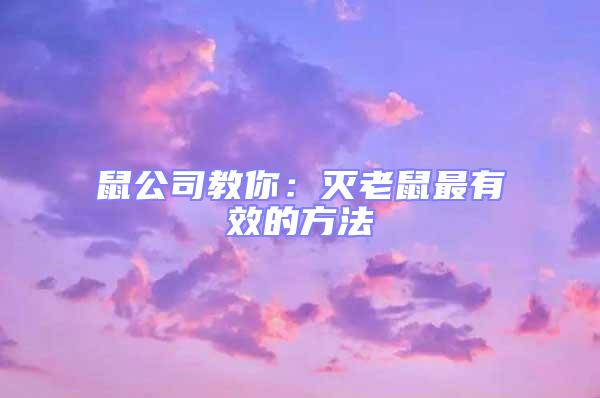 鼠公司教你:滅老鼠最有效的方法