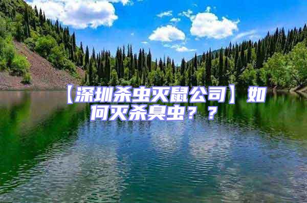 【深圳殺蟲滅鼠公司】如何滅殺臭蟲??