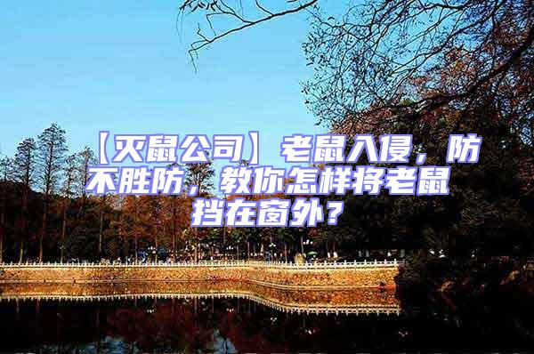 【滅鼠公司】老鼠入侵，防不勝防，教你怎樣將老鼠擋在窗外？