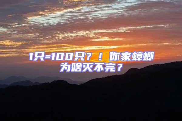 1只=100只？！你家蟑螂為啥滅不完？