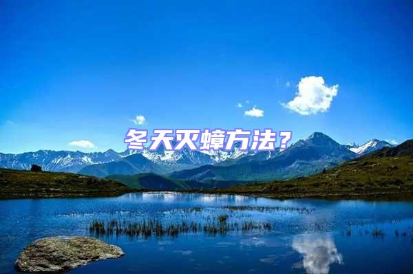 冬天滅蟑方法?