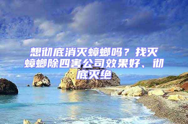 想徹底消滅蟑螂嗎?找滅蟑螂除四害公司效果好、徹底滅絕