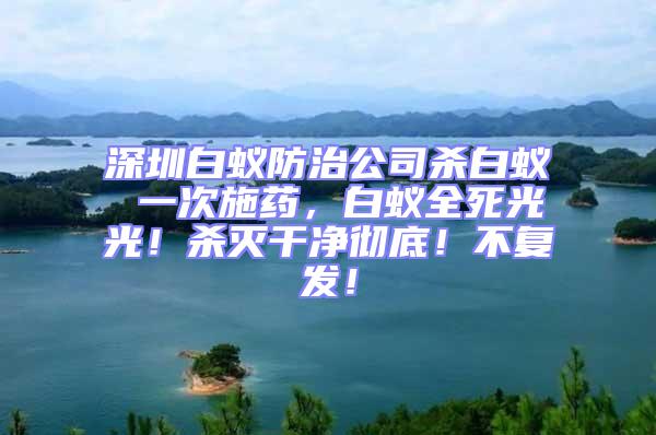 深圳白蟻防治公司殺白蟻 一次施藥,白蟻全死光光!殺滅干凈徹底!不復發!
