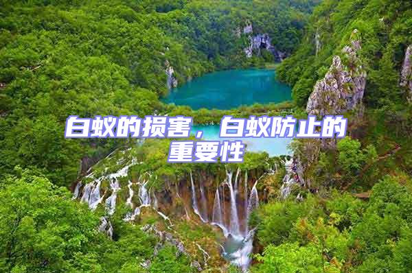 白蟻的損害,白蟻防止的重要性