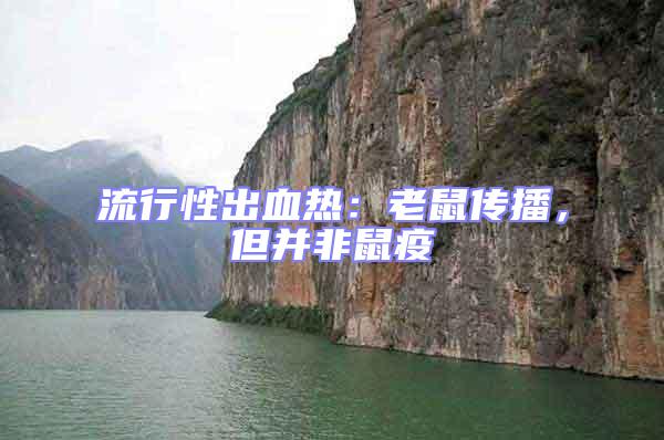 流行性出血熱:老鼠傳播,但并非鼠疫