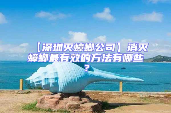 【深圳滅蟑螂公司】消滅蟑螂最有效的方法有哪些?