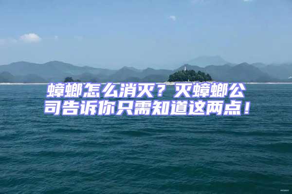 蟑螂怎么消滅?滅蟑螂公司告訴你只需知道這兩點(diǎn)!