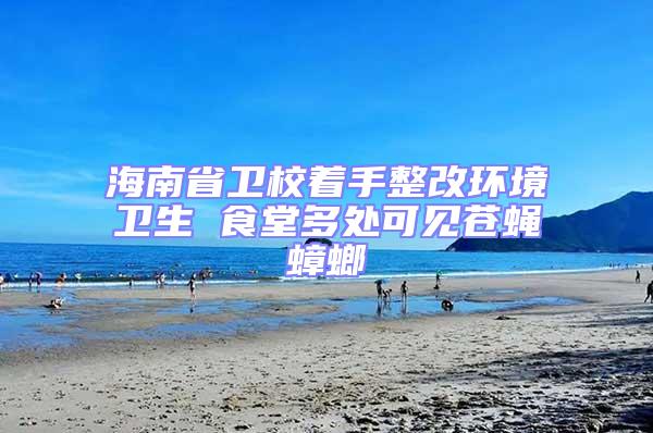海南省衛(wèi)校著手整改環(huán)境衛(wèi)生 食堂多處可見(jiàn)蒼蠅蟑螂
