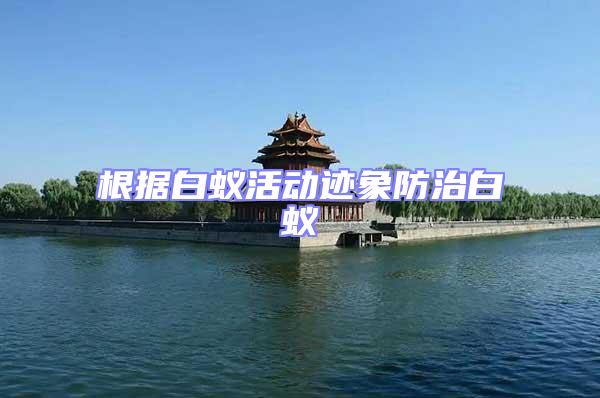 根據(jù)白蟻活動(dòng)跡象防治白蟻