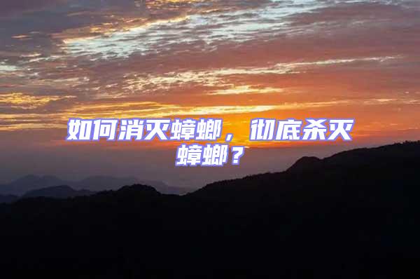 如何消滅蟑螂,徹底殺滅蟑螂?