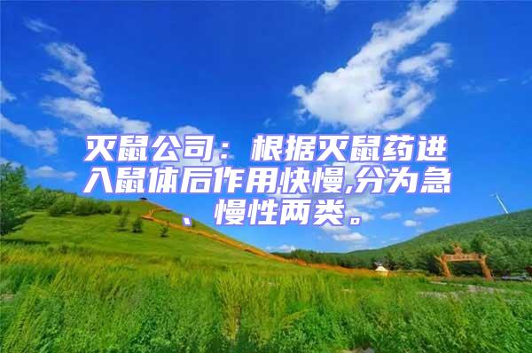 滅鼠公司:根據(jù)滅鼠藥進入鼠體后作用快慢,分為急、慢性兩類。