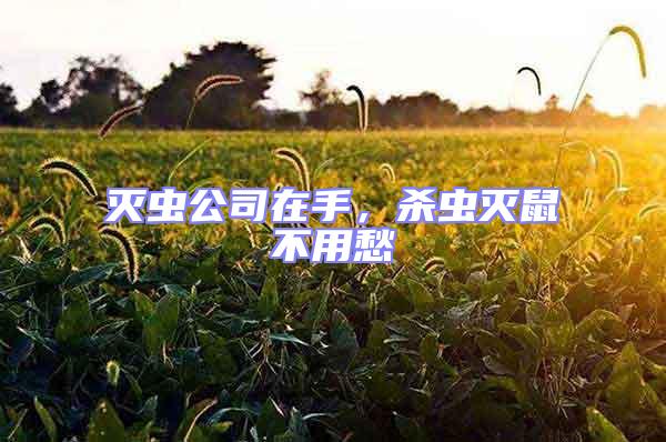 滅蟲公司在手，殺蟲滅鼠不用愁