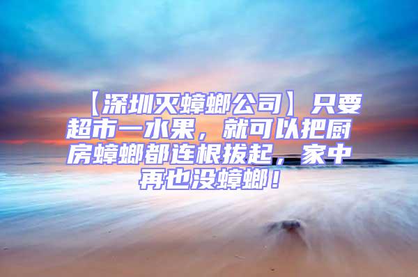 【深圳滅蟑螂公司】只要超市一水果,就可以把廚房蟑螂都連根拔起,家中再也沒蟑螂!