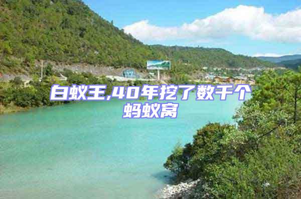 白蟻王,40年挖了數(shù)千個螞蟻窩