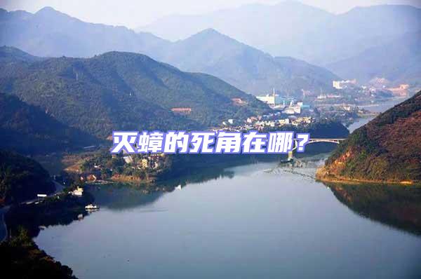 滅蟑的死角在哪?