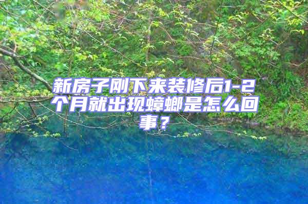 新房子剛下來(lái)裝修后1-2個(gè)月就出現(xiàn)蟑螂是怎么回事？