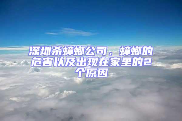 深圳殺蟑螂公司,蟑螂的危害以及出現在家里的2個原因
