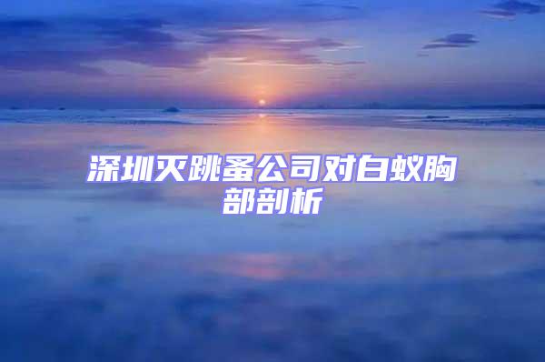 深圳滅跳蚤公司對(duì)白蟻胸部剖析