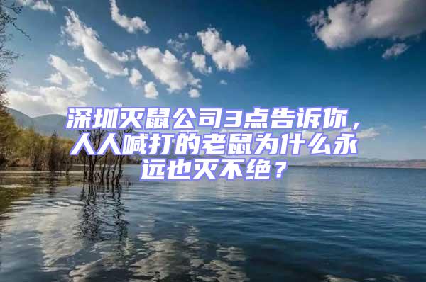 深圳滅鼠公司3點告訴你，人人喊打的老鼠為什么永遠也滅不絕？