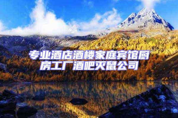 專業(yè)酒店酒樓家庭賓館廚房工廠酒吧滅鼠公司