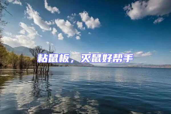 粘鼠板，滅鼠好幫手