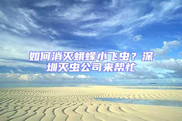 如何消滅蛾蠓小飛蟲?深圳滅蟲公司來(lái)幫忙