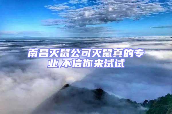 南昌滅鼠公司滅鼠真的專業(yè),不信你來(lái)試試
