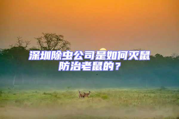 深圳除蟲公司是如何滅鼠防治老鼠的？