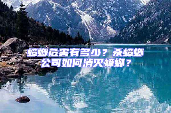 蟑螂危害有多少?殺蟑螂公司如何消滅蟑螂?