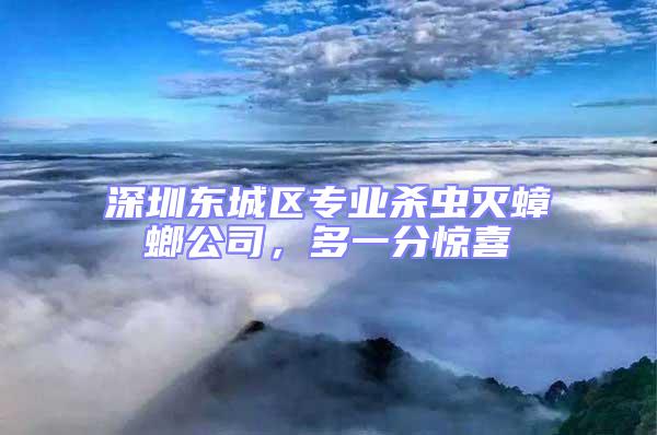 深圳東城區專業殺蟲滅蟑螂公司，多一分驚喜