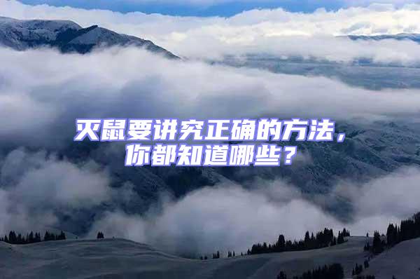 滅鼠要講究正確的方法，你都知道哪些？