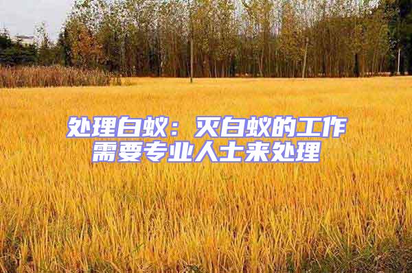 處理白蟻:滅白蟻的工作需要專業人士來處理