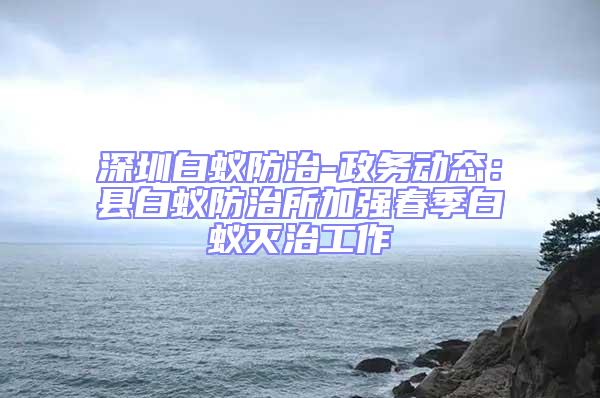 深圳白蟻防治-政務動態:縣白蟻防治所加強春季白蟻滅治工作